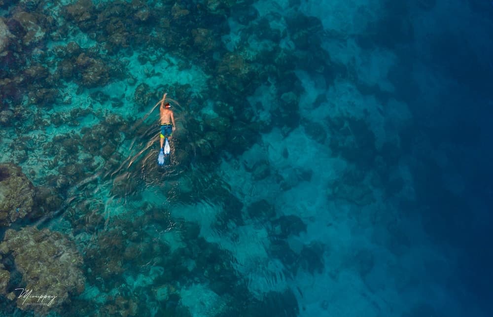 Ostrov Palm Villa - View 24