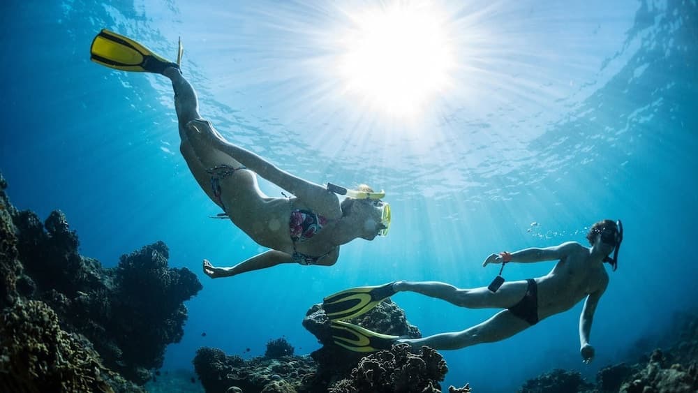 Ocean Beach Inn - Maldives - View 33