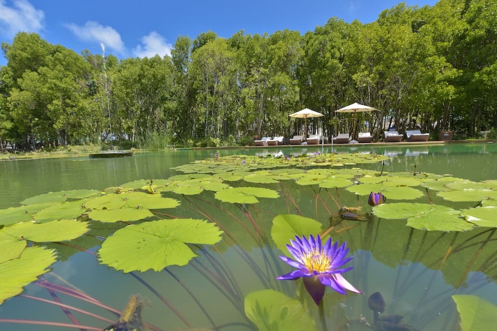 Dreamland Unique Sea and Lake Resort Spa - View 32