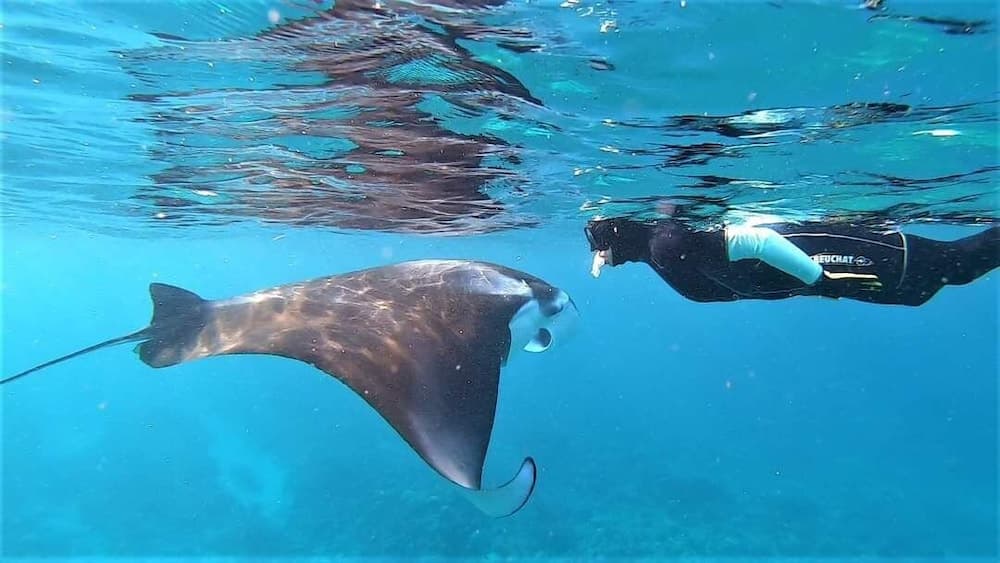 Belvedere Thoddoo - View 35