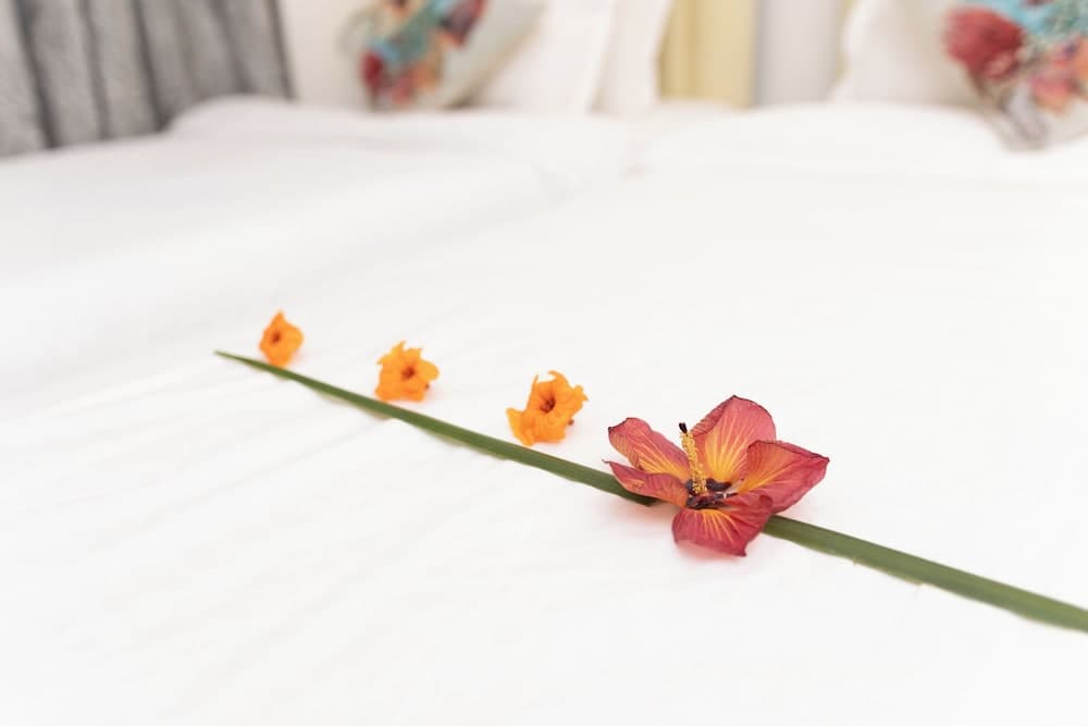 Fasdheythere Inn - View 7