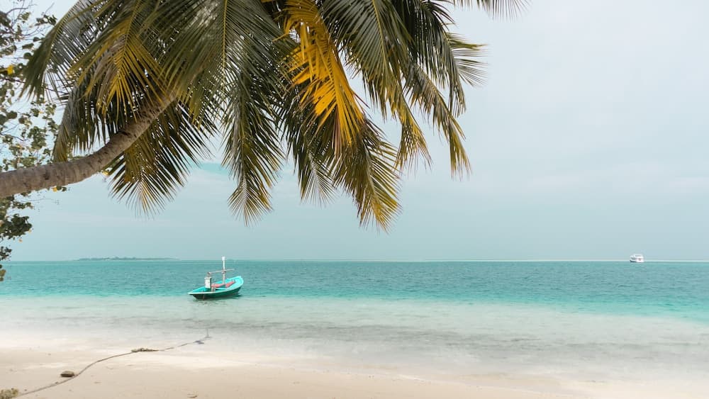 PALM REST MALDIVES - View 15
