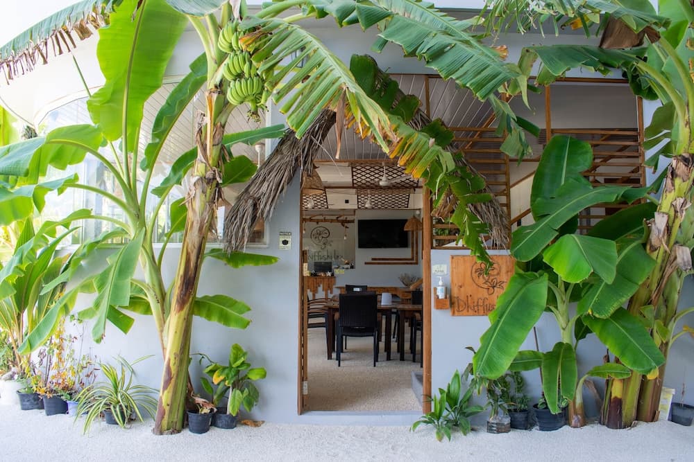Dhiffushi Inn - View 33