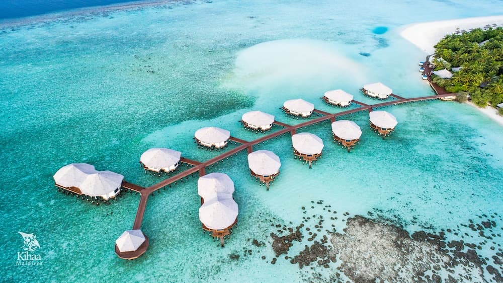 Kihaa Maldives - View 166