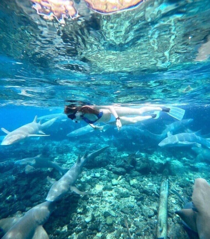 Bibee Maldives - View 184