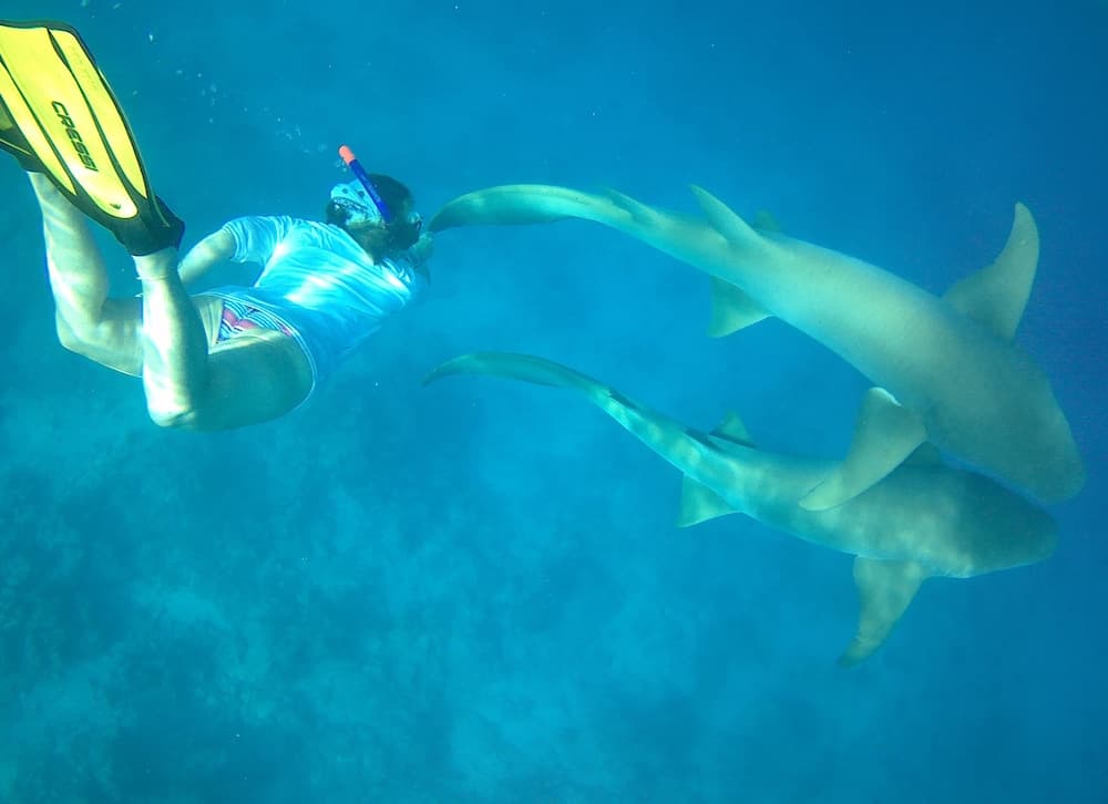 Yacht Fascination Maldives - View 8