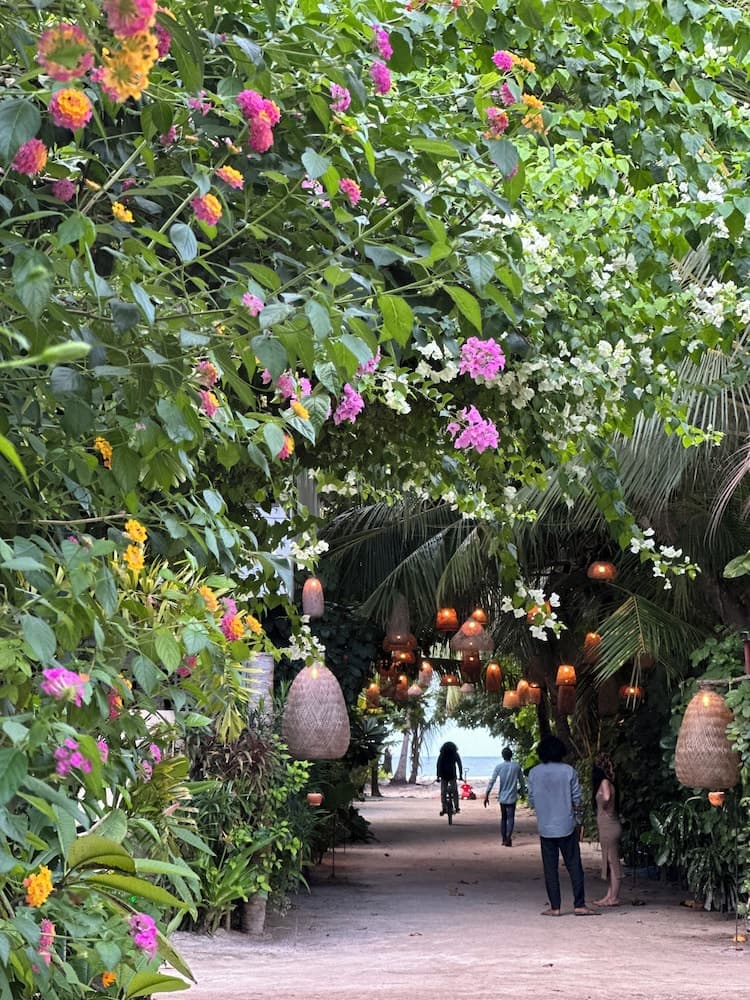 Odi Kamadhoo - View 11