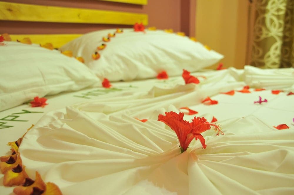 Koamas Lodge - View 2