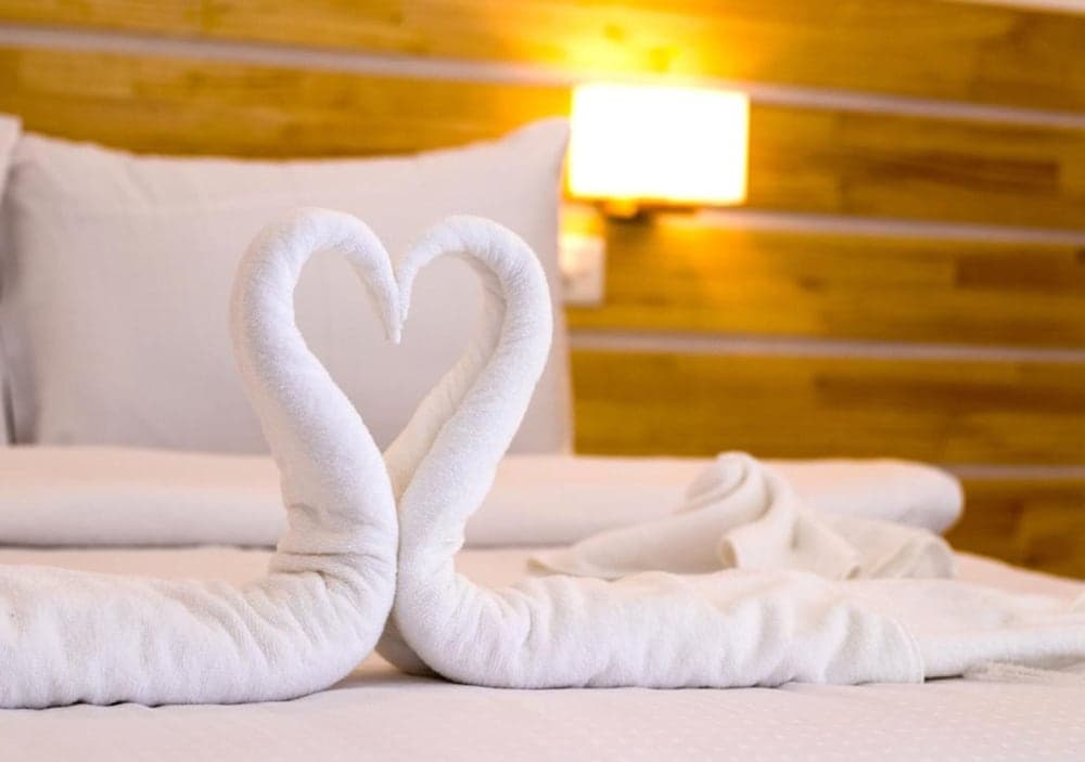 Kokaa Maafushi - View 13