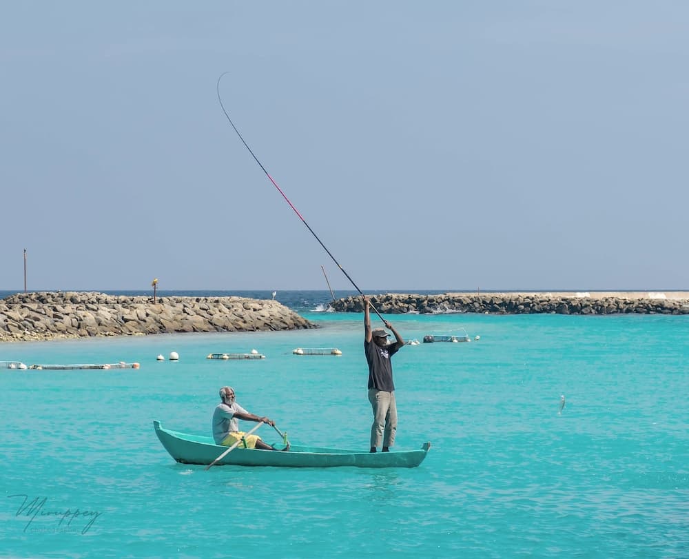 West Sands - View 60