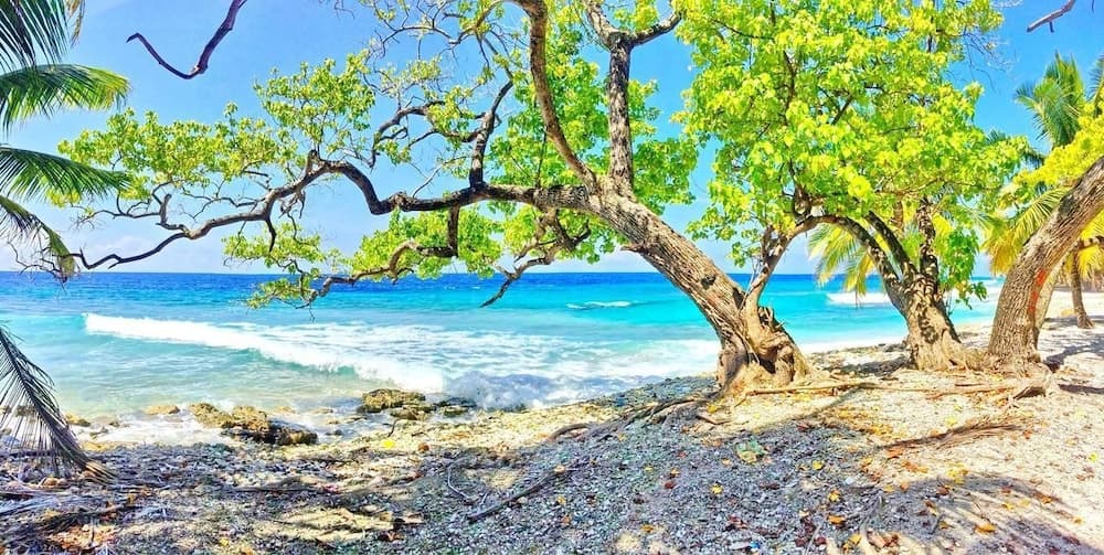 Equator Residence - View 9