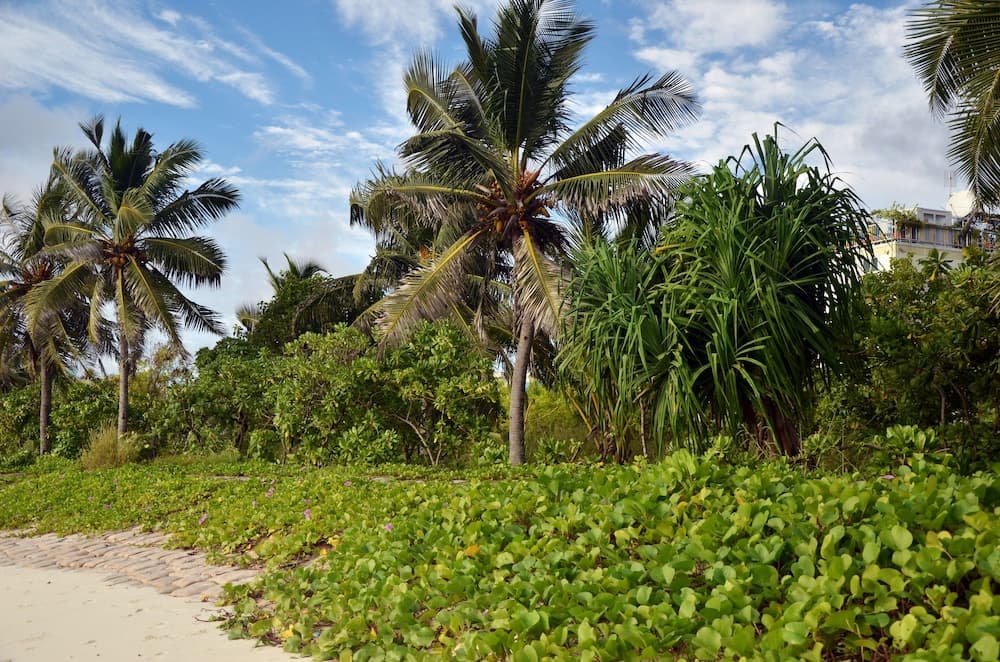 Ocean Villa with pool & spa - View 28