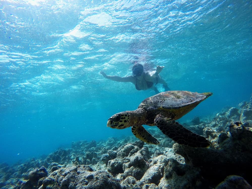 Adroit Beach Inn - View 43