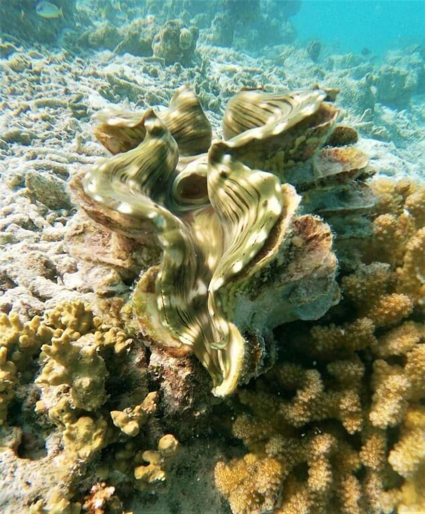 One The Island - View 24