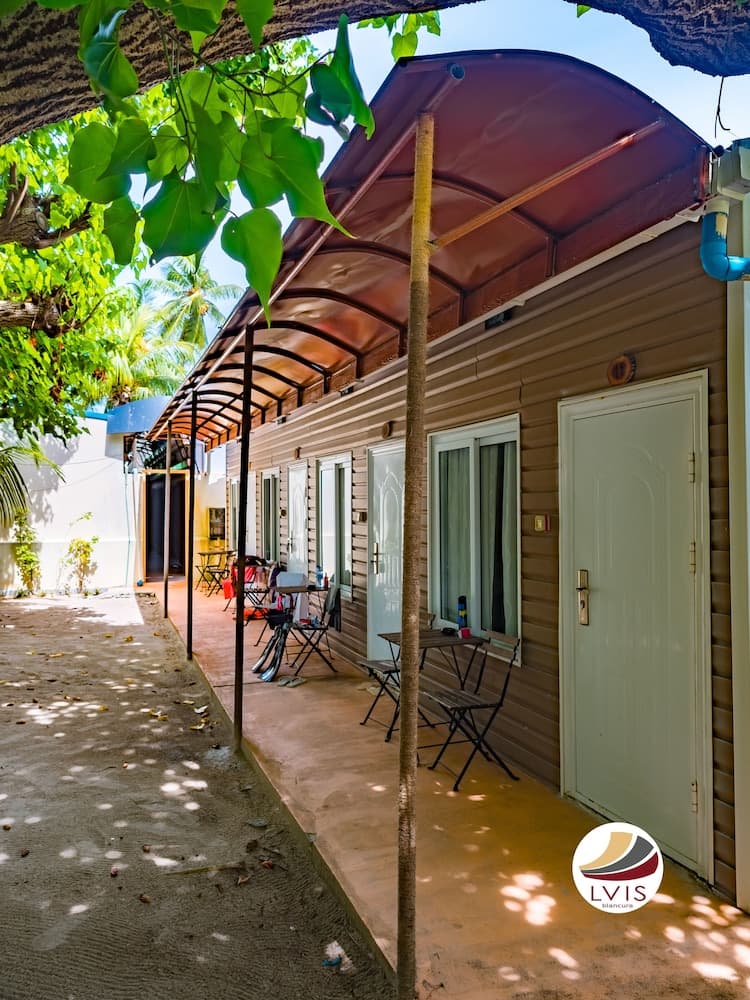 LVIS blancura - View 7