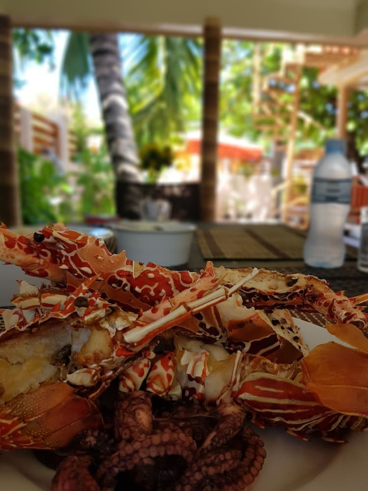 Village Life Maldives - View 41