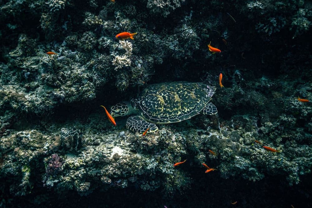 Endheri Sunset - View 35