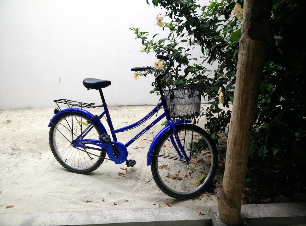 Evexia Beach Collection - A Premium Wellness Retreat - View 21