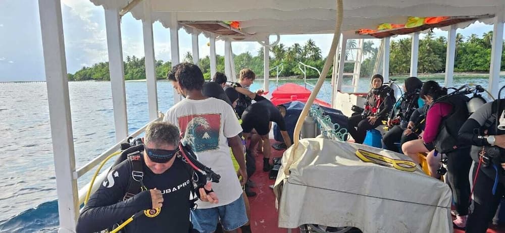 Liberty Guest House Maldives - View 150