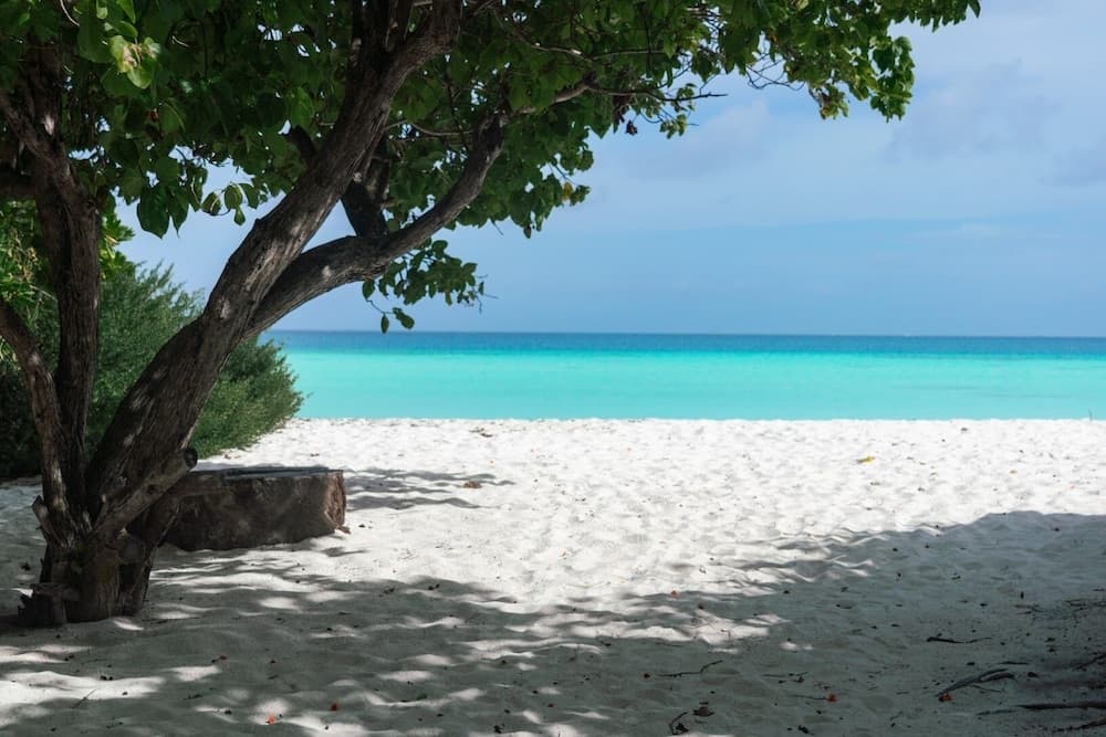 Sands Grand Hotel - View 79