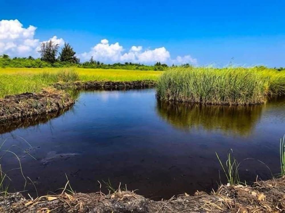 Charming Holiday Lodge - View 53