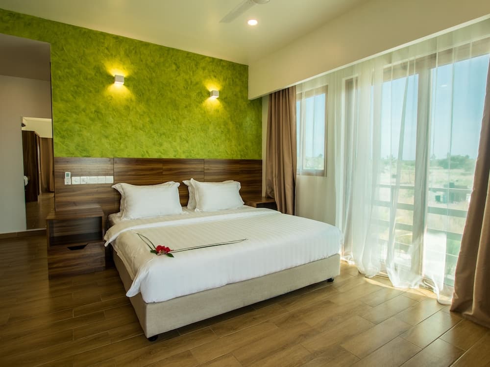 Olive Goidhoo - View 5