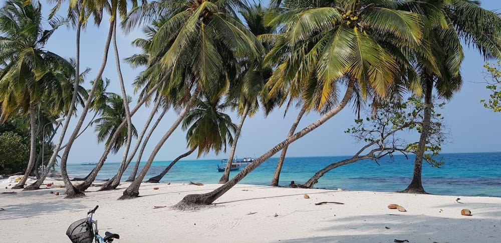 South Ari Inn - View 43