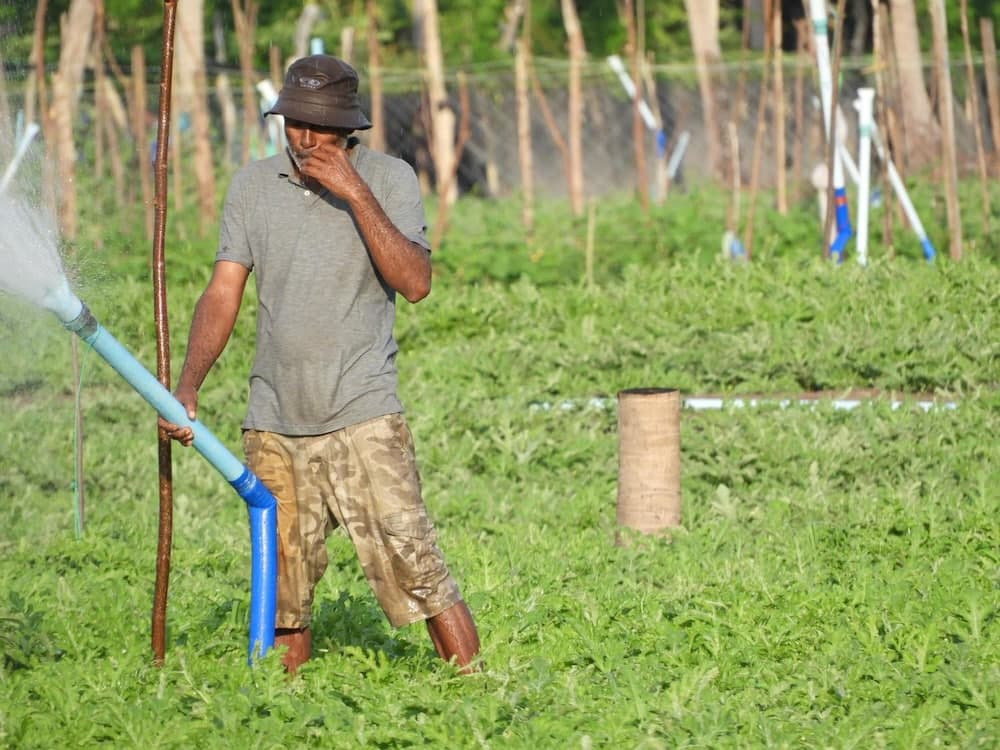 Karaa Village - View 21