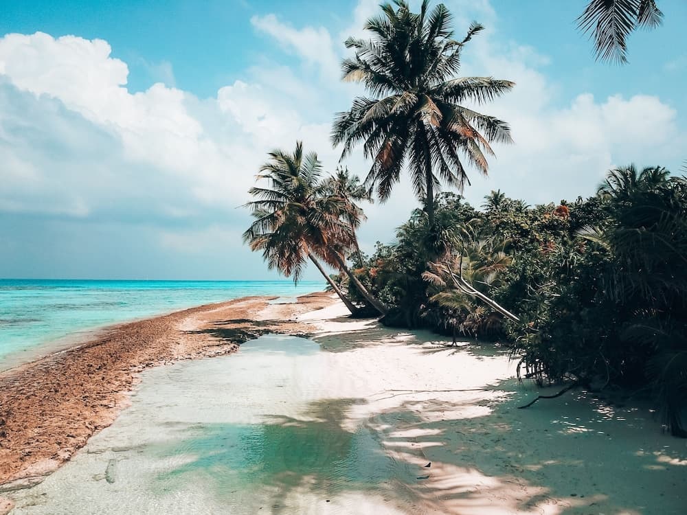 Bliss Dhigurah - View 137