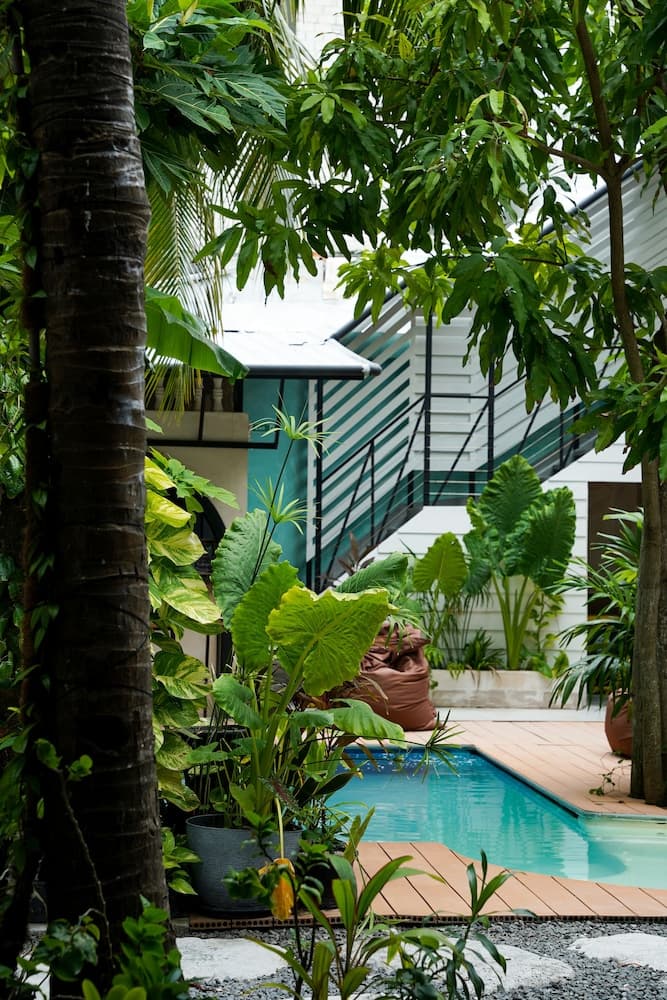 Zinnia Villa - View 66