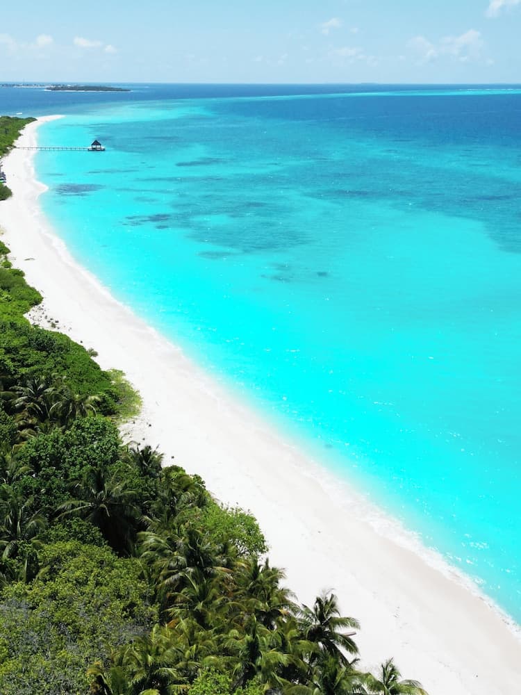 Blue Coral Vashafaru - View 25