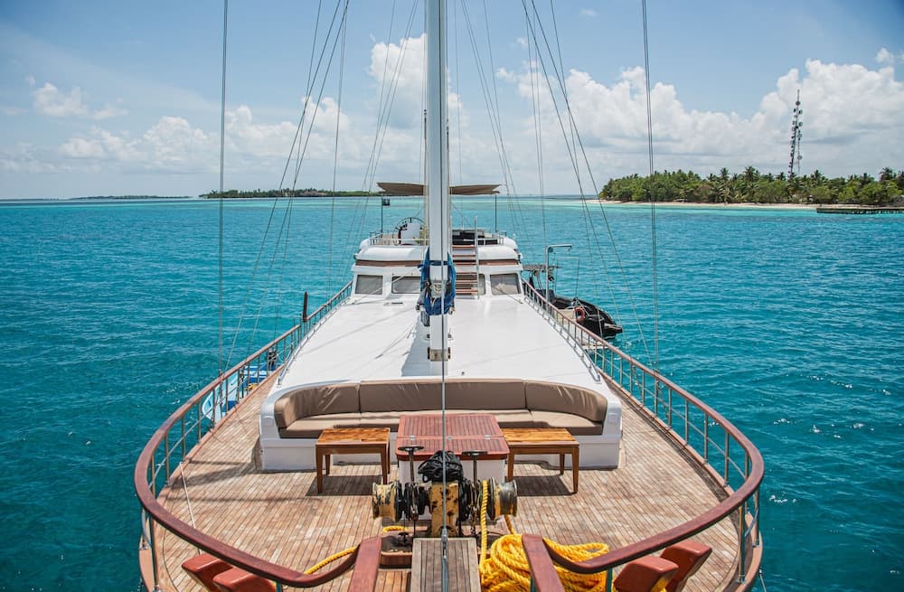 Akoya Pearl - View 3