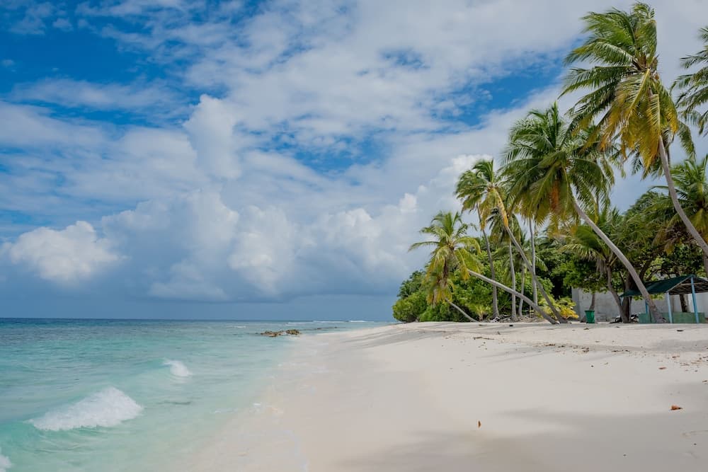 Maclura Residence - View 30