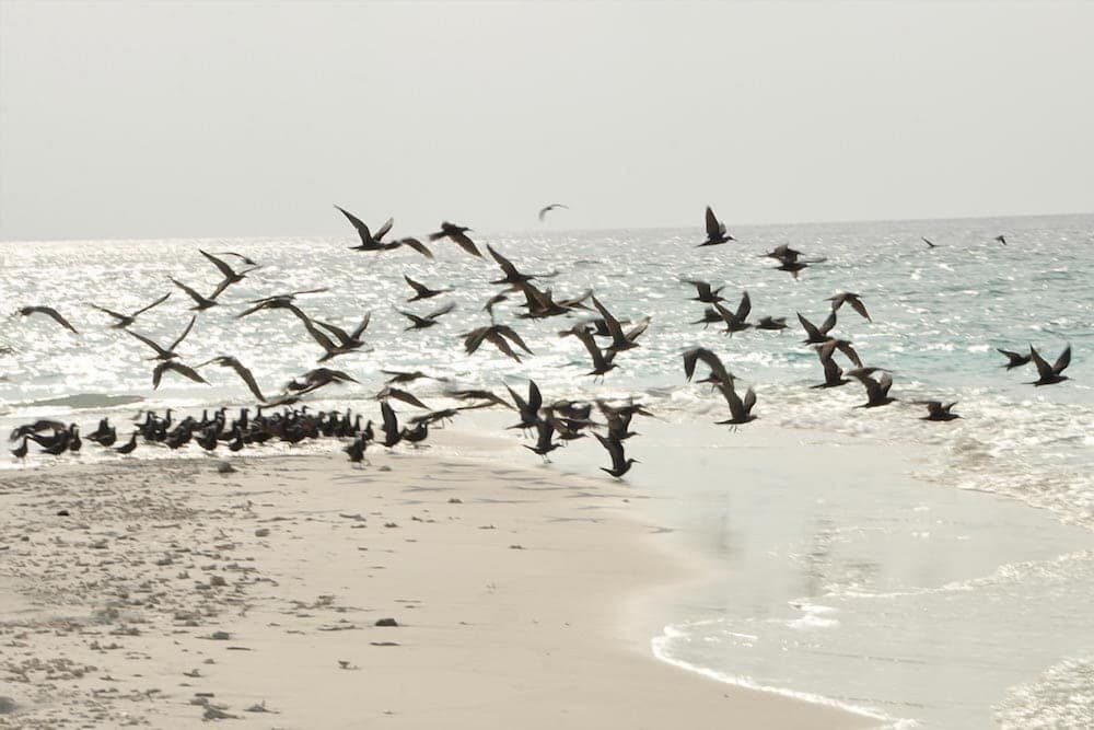 Island Cottage - View 29