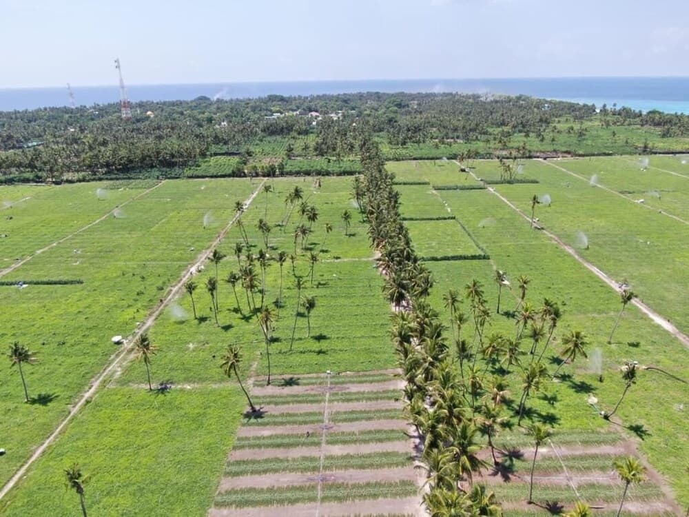 Thila Farm View Guest House - View 8