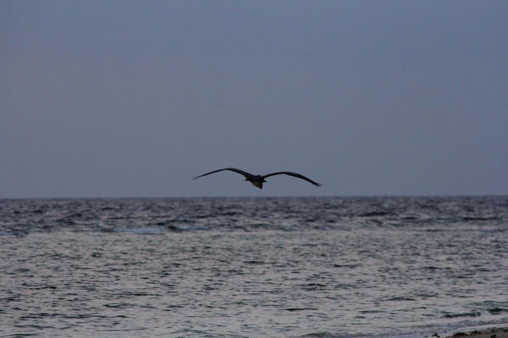 Summer Shade Maldives - View 10