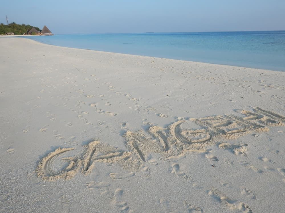 Gangehi Island Resort - View 65