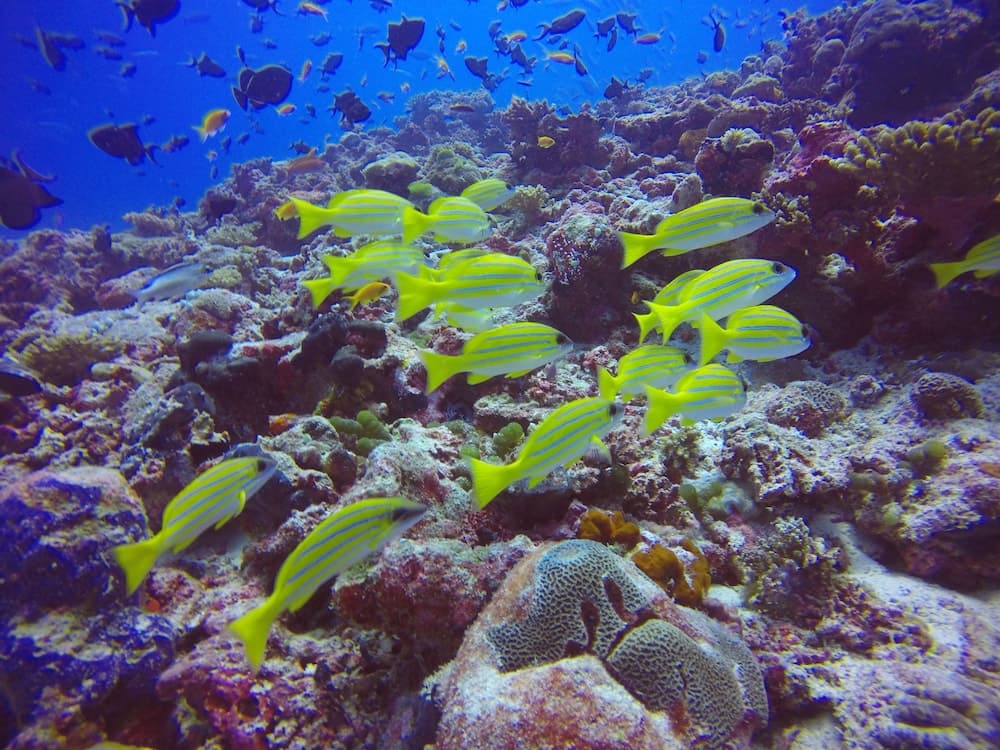 Rasdhoo Holiday Home - View 61