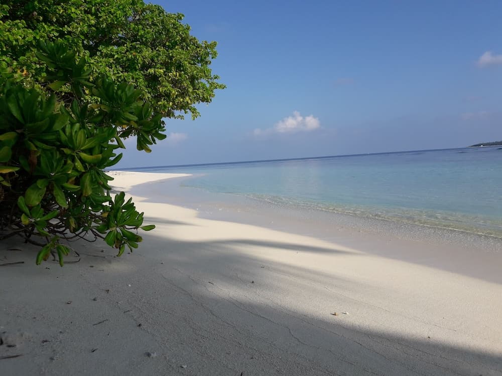 Muli Inn Surf View Maldives - View 40