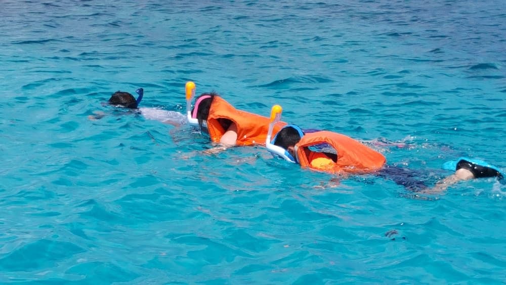 Equa Reef Maldives - View 11