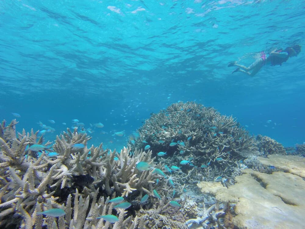 Ganduvaru Villa - View 35