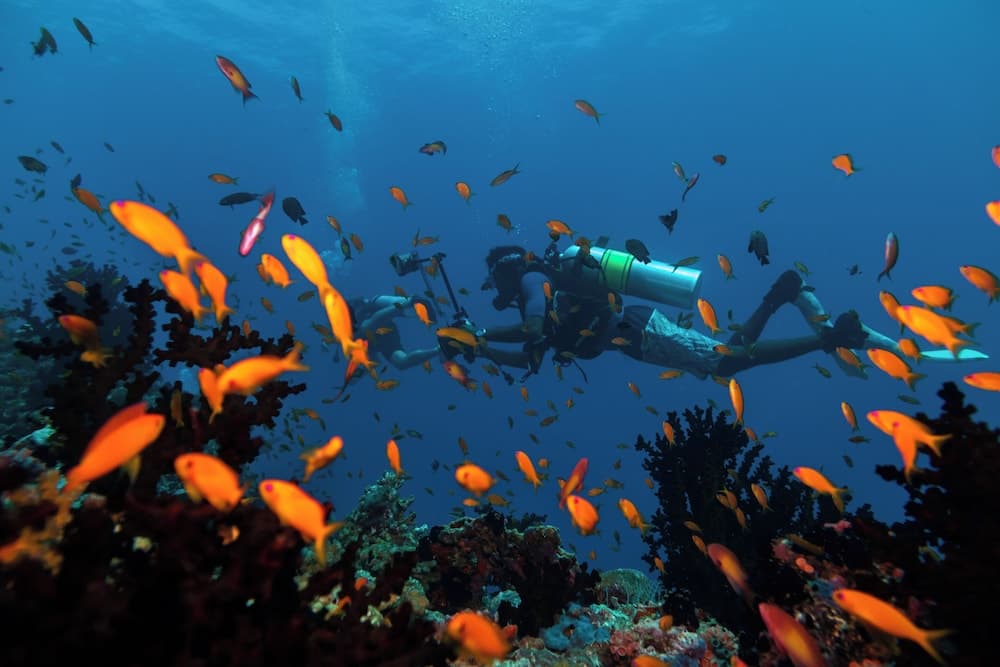 Kuredhivaru Resort & Spa Maldives - View 3