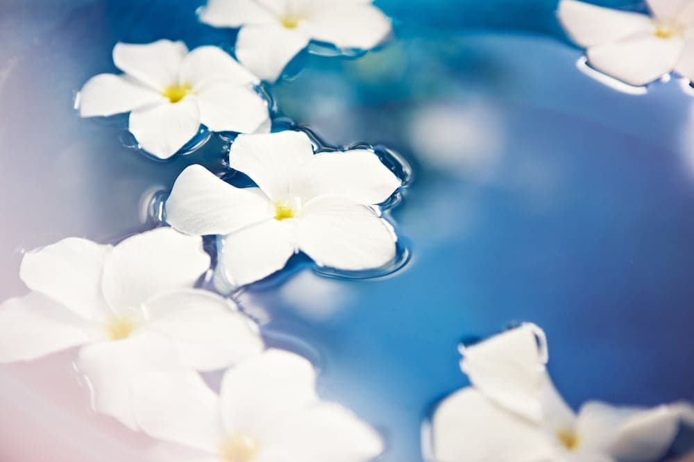 The Halcyon Private Isles Maldives, Autograph Collection - View 35