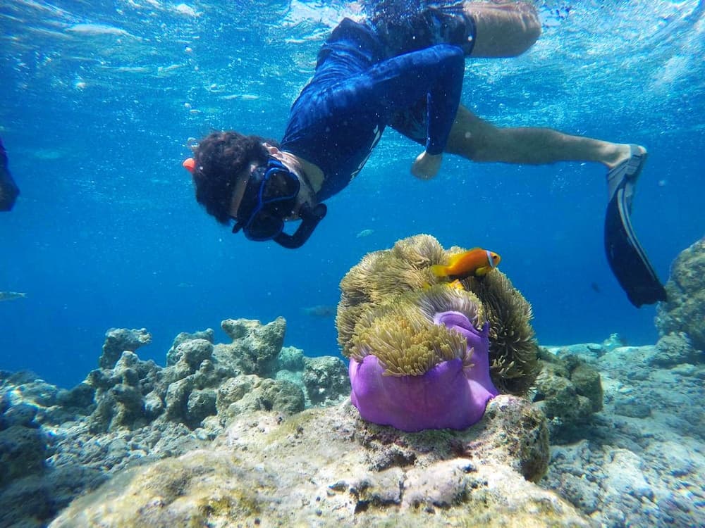 Adroit Beach Inn - View 48