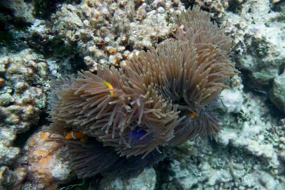 Detour Beach View - View 46