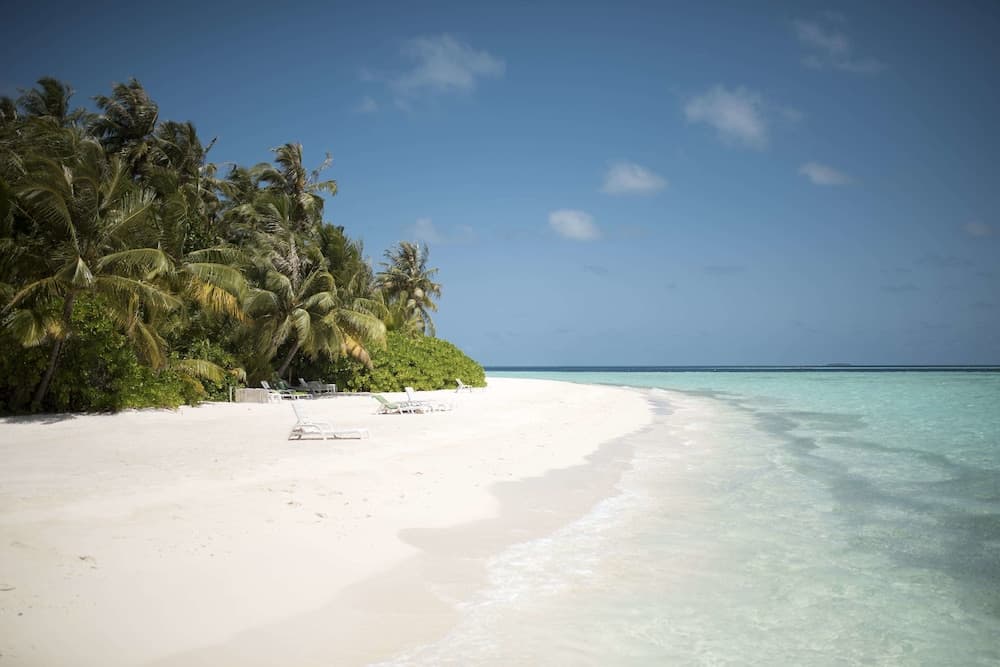 Biyadhoo Island Resort - View 47