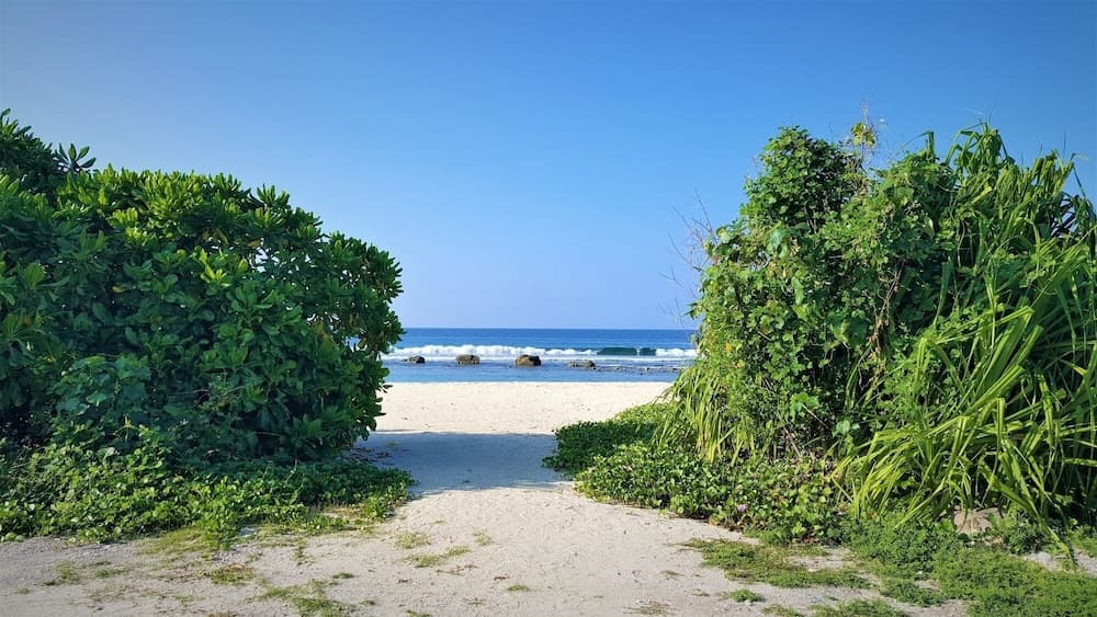 Explore Island Inn - View 32