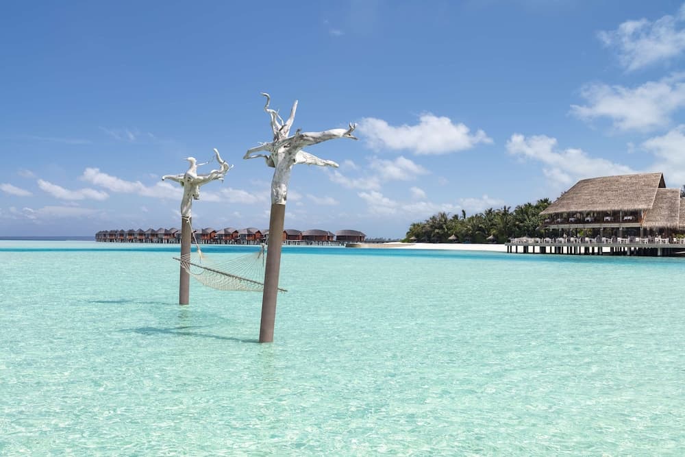 Anantara Dhigu Maldives Resort - View 92