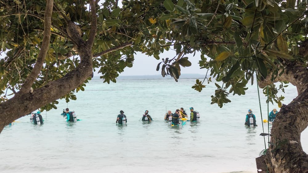 PALM REST MALDIVES - View 5