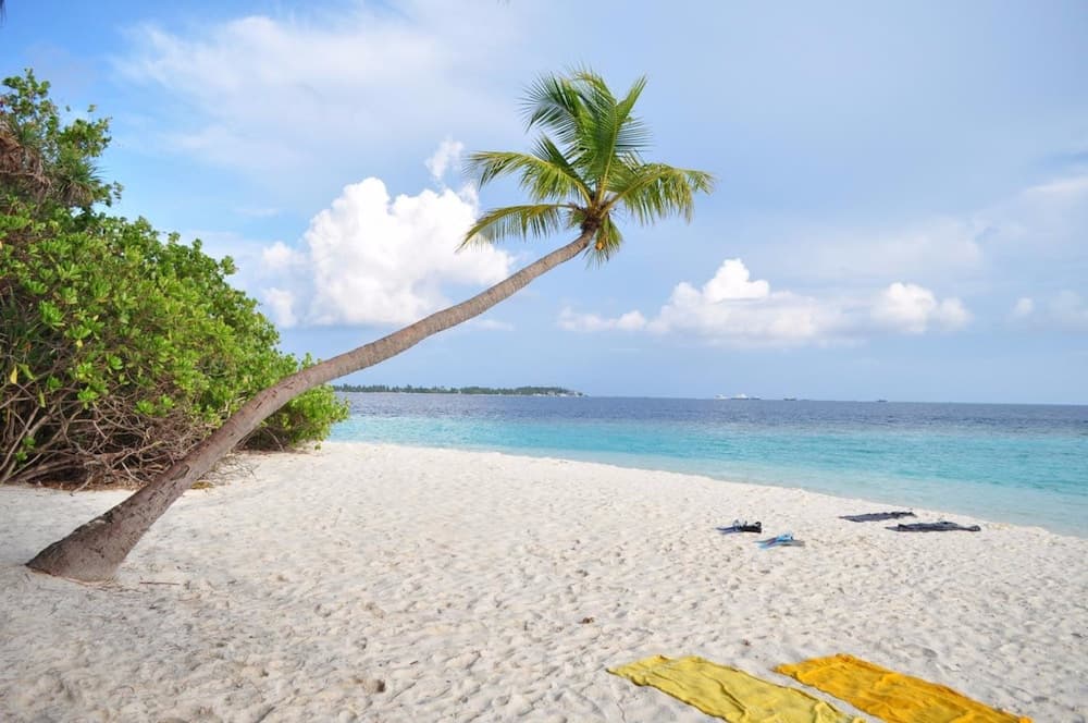 Summer Villa Guest House - View 23